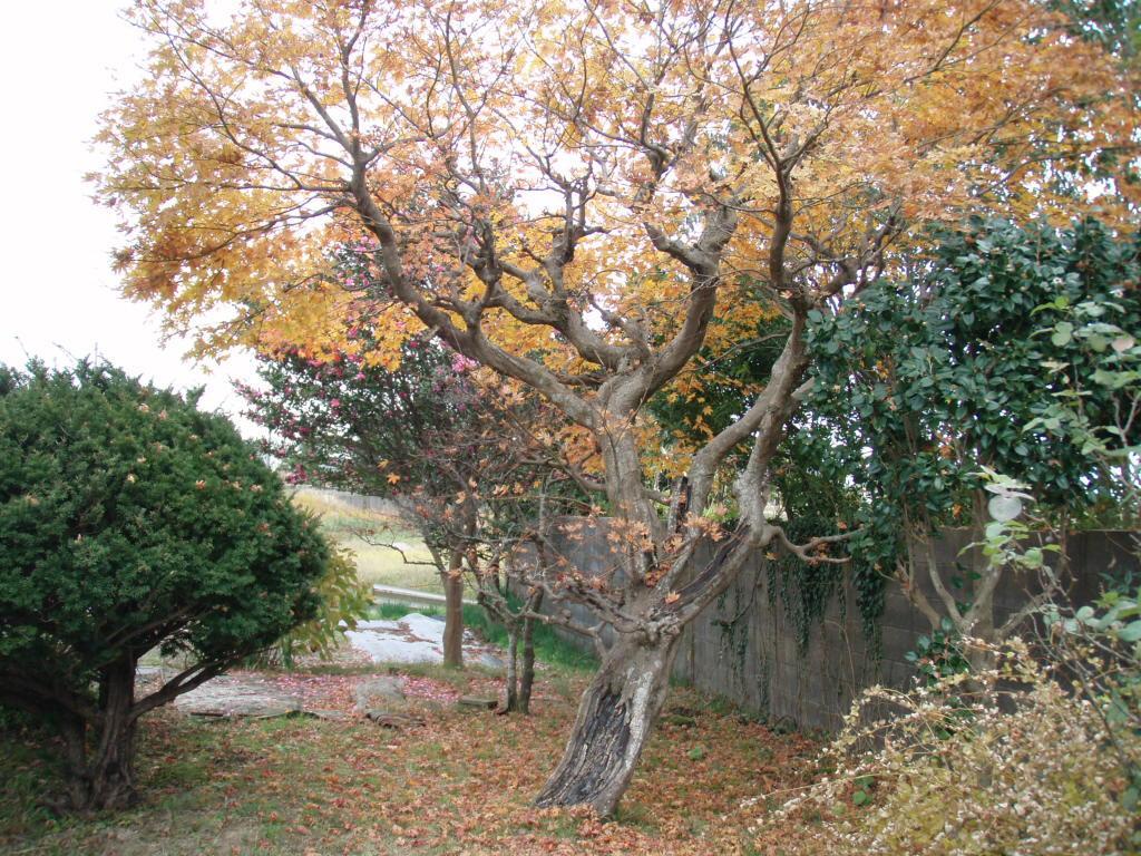Guesthouse Hokkai Nanao Exterior photo