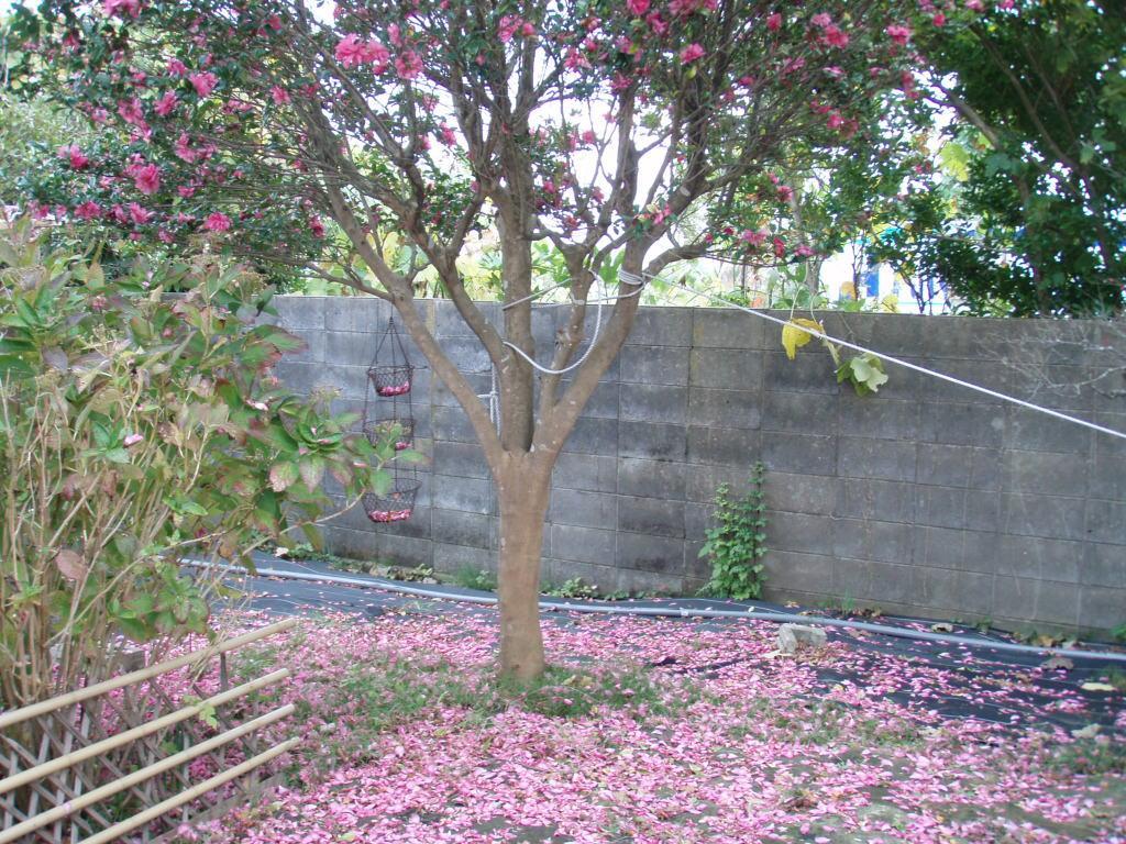 Guesthouse Hokkai Nanao Exterior photo